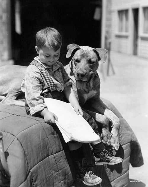thats-the-way-it-was:

George McFarland as Spanky with dog, Von on the set of ‘General Spanky,’ part of the Our Gang series later to be known as The Little Rascals. September 1, 1936
Photo: CBS

