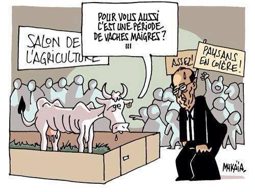 Agriculture Française: le temps des vaches maigres&#160;!
