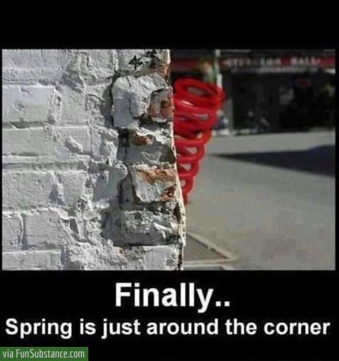 Spring is just around the corner - FunSubstance.com