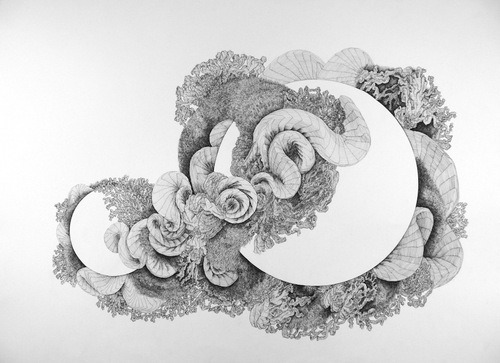 Beth Brown, Constriction No.5, 2014, Ink on Paper, 22”x30”