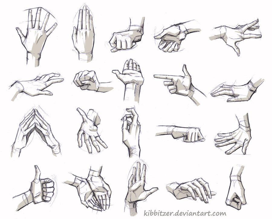 drawing art hands finger hand human Anatomy digital fingers reference