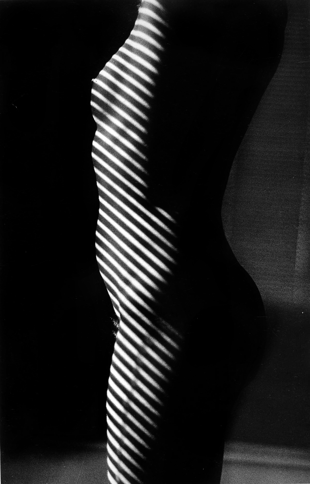 Ralph Gibson: Striped nude, 1981