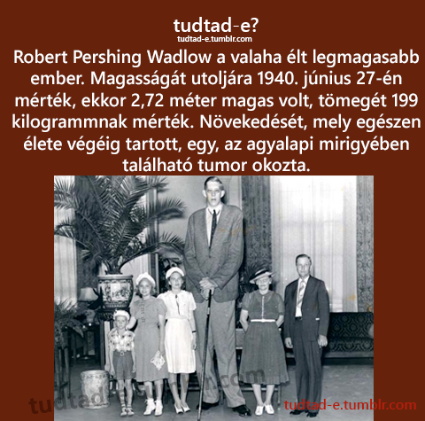 <p>Robert Pershing Wadlow a valaha lt legmagasabb ember. Magassgt utoljra 1940. jnius 27-n mrtk, ekkor 2,72 mter magas volt, tmegt 199 kilogrammnak mrtk. Nvekedst, mely egszen lete vgig tartott, egy, az agyalapi mirigyben tallhat tumor okozta. </p>