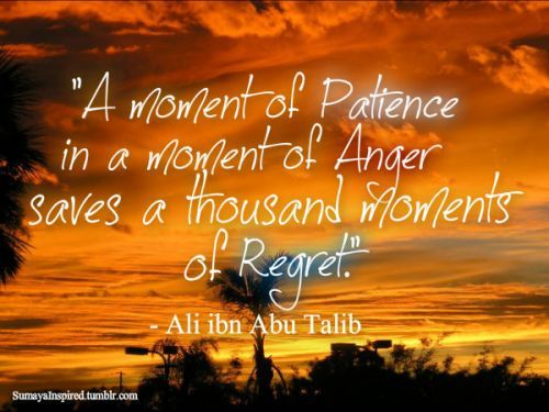 A Moment of Patience"A moment of patience in a moment of anger saves a thousand moments of regret." -Ali bin Abu Talib