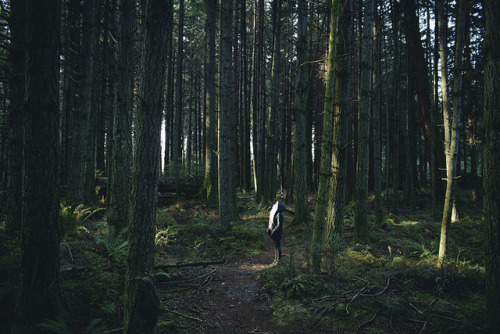 surrounbed by trees by Alex Strohl on Flickr.