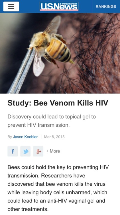 coffeeandcockatiels:beetimesboo:crosswordenthusiasts:ohhenryd:bluesunspots:nothingbutaduckling:IF THIS IS THE CURE I FEEL REALLY BAD FOR HIV POSITIVE PEOPLE WHO ARE ALLERGIC TO BEESBEEESBEES???HEY LOOK MORE REASONS TO SAVE BEESSAVE THE BEES HOLY SHIT BECAUSE THEY DIE ONCE THEY STING YOU SO IF THEY STING YOU TO CURE YOU THEN THEY DIE SO WE NEED MORE BEESWE NEED MORE BEES. FOR BEE LUBE.
