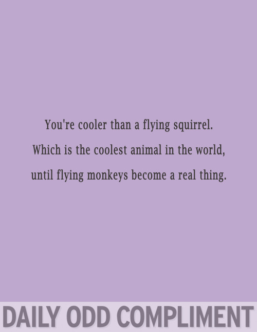 "Flying Squirrels"