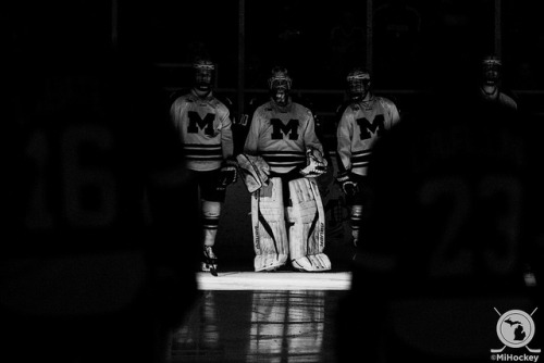 Cool Michigan hockey photo