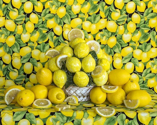Rachel Stern, Still Life with Real and Fake Lemons, 2013