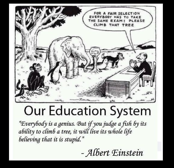 Our Education System:
"Everybody is a genius. But if you judge a fish by its ability to climb a tree, it will live its whole life believing that it is stupid." ~ Albert Einstein
