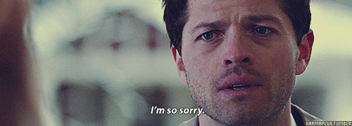 Image result for i'm sorry gif