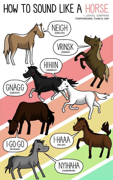 HOW TO SOUND LIKE A HORSE
Not to blow my own trumpet, but I can do a pretty good horse impression.And none of these sounds even come close.
Especially not vrinsk. Anything is better than vrinsk.