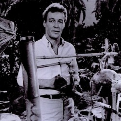 Gilligan's Island-Professor Roy Hinkley (1964-1967)