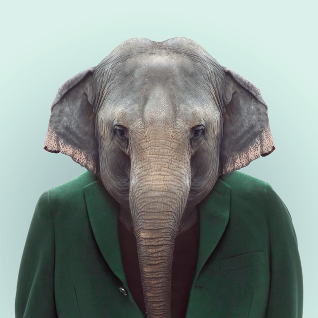 ELEPHANT by Yago Partal
for ZOO PORTRAITS