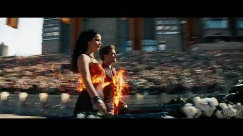 This Is Perfect Catching Fire GIF by The Hunger Games - Find & Share on  GIPHY