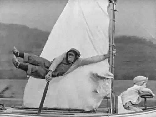 jazzyjava:

Full sail ahead!
