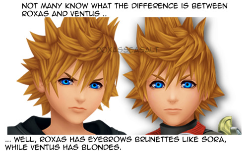 The real difference between Roxas and Ventus