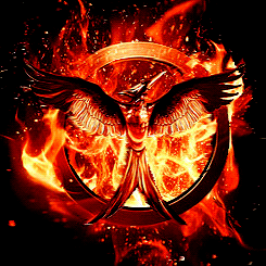 
The Hunger Games Logos + Lenticular 3D
