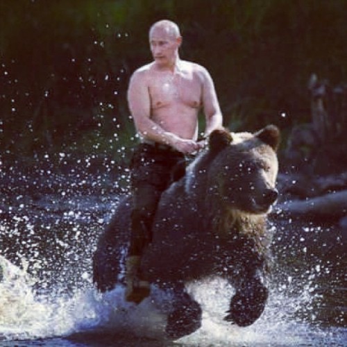 Putin cabalgando su oso