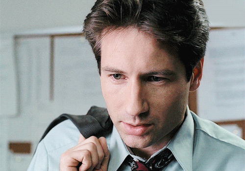 The X Files Fox Mulder