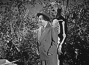 the three stooges classic comedy gif
