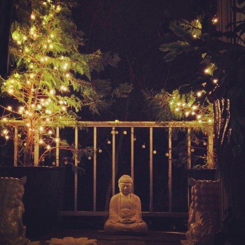 #Nightlights on my #balcony #treelights #buddha #foodogs #decor #zen