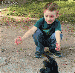 4gifs:

Chicken didn’t recognize her friend with his new haircut. [video]