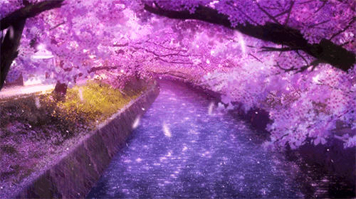 Resultado de imagem para animes em baixo de uma arvore de sakura gif
