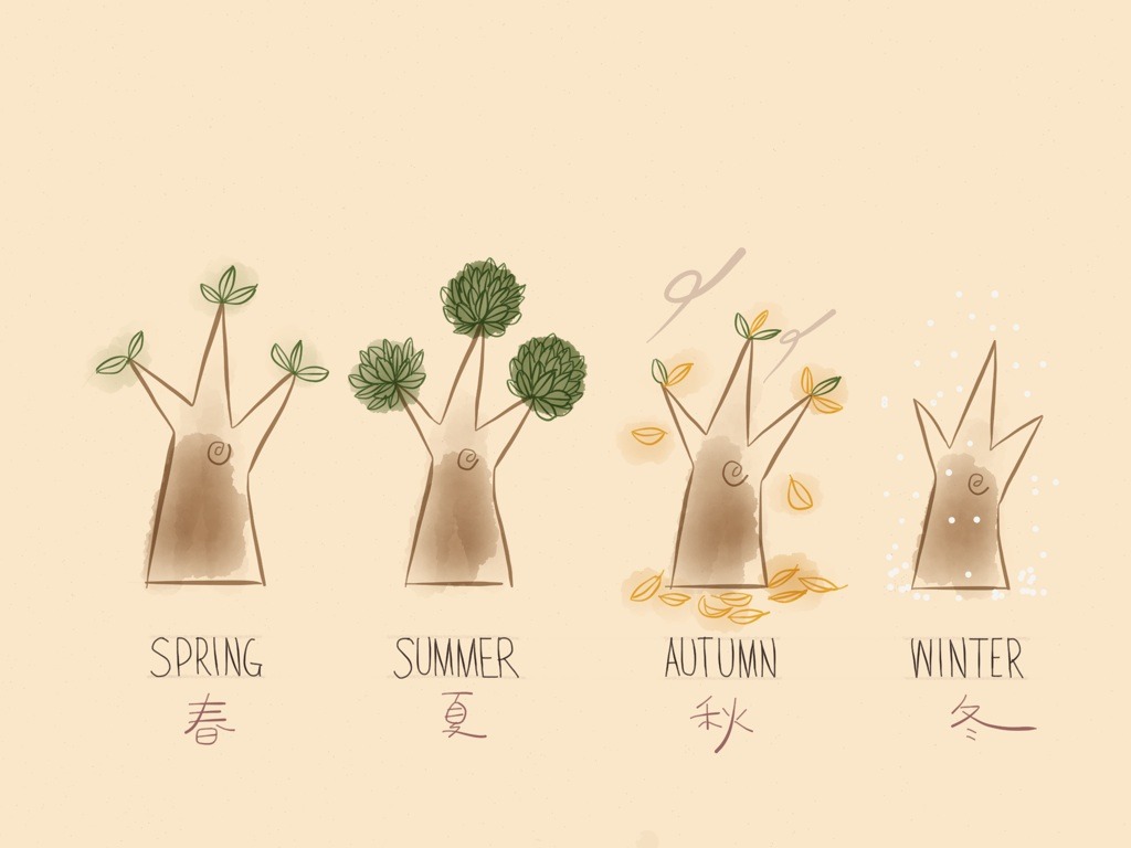 我被「貼堂」的畫作 “The Four Seasons.”