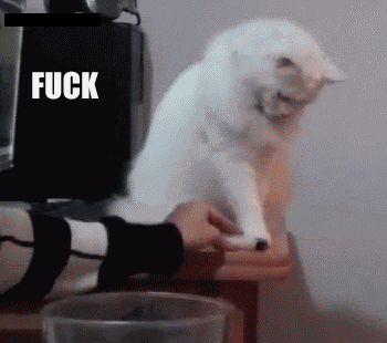 [Image: A GIF of a longhaired white cat sitting on a dressed and knocking off various small objects that are placed in front of it by an anonymous hand.  Text overlay appears and disappears as the things are knocked off, with the phrases “FUCK THIS”, “FUCK THAT”, “FUCK THOSE TOO”, “FUCK ALL THESE”, and “FUCK THIS THING IN PARTICULAR.”]