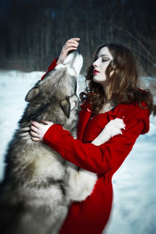 Red with wolf / Simply beautiful