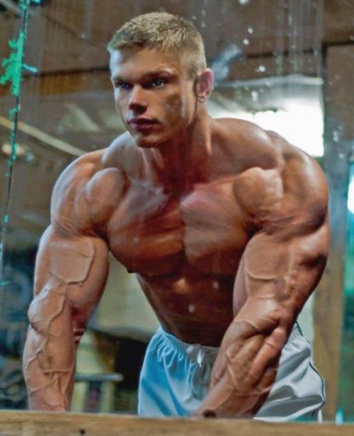 Download this Cute Blonde Muscle... picture