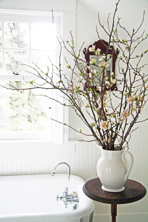 thedecorista:

quince branches
