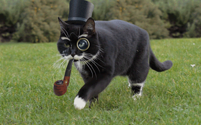 A cat walks on grass, wearing a top hat and monacle adn smoking a pipe. The internet tells me that this is Steampunk. So...I guess it is.