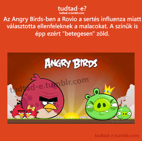<p>Az Angry Birds-ben a Rovio a serts influenza miatt vlasztotta ellenfeleknek a malacokat. A sznk is pp ezrt “betegesen” zld.</p>