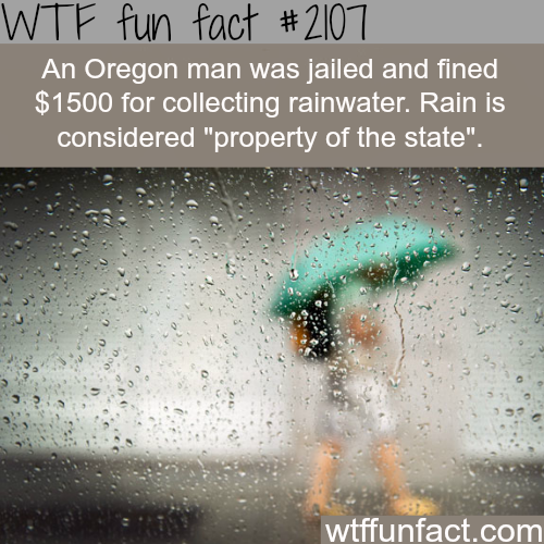 Weirdest laws and rules - WTF fun facts