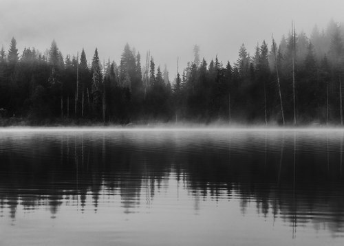 Black and White depressed sad lonely lake trees alone broken water dark nature peace forest calm relax chill rest upset sadness loneliness weather fog chill out foggy photohraphy Beautiness foggy day 