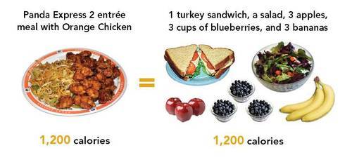 1500+ of Junk food is NOT the same inside your body as 1500+ calories ...