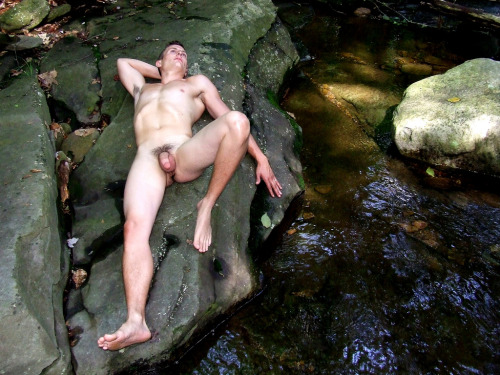 benudenfree:

beautiful nude in the woods, ph. unknown
