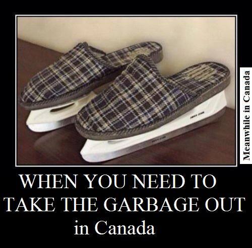 Как канадцы выносят мусор?