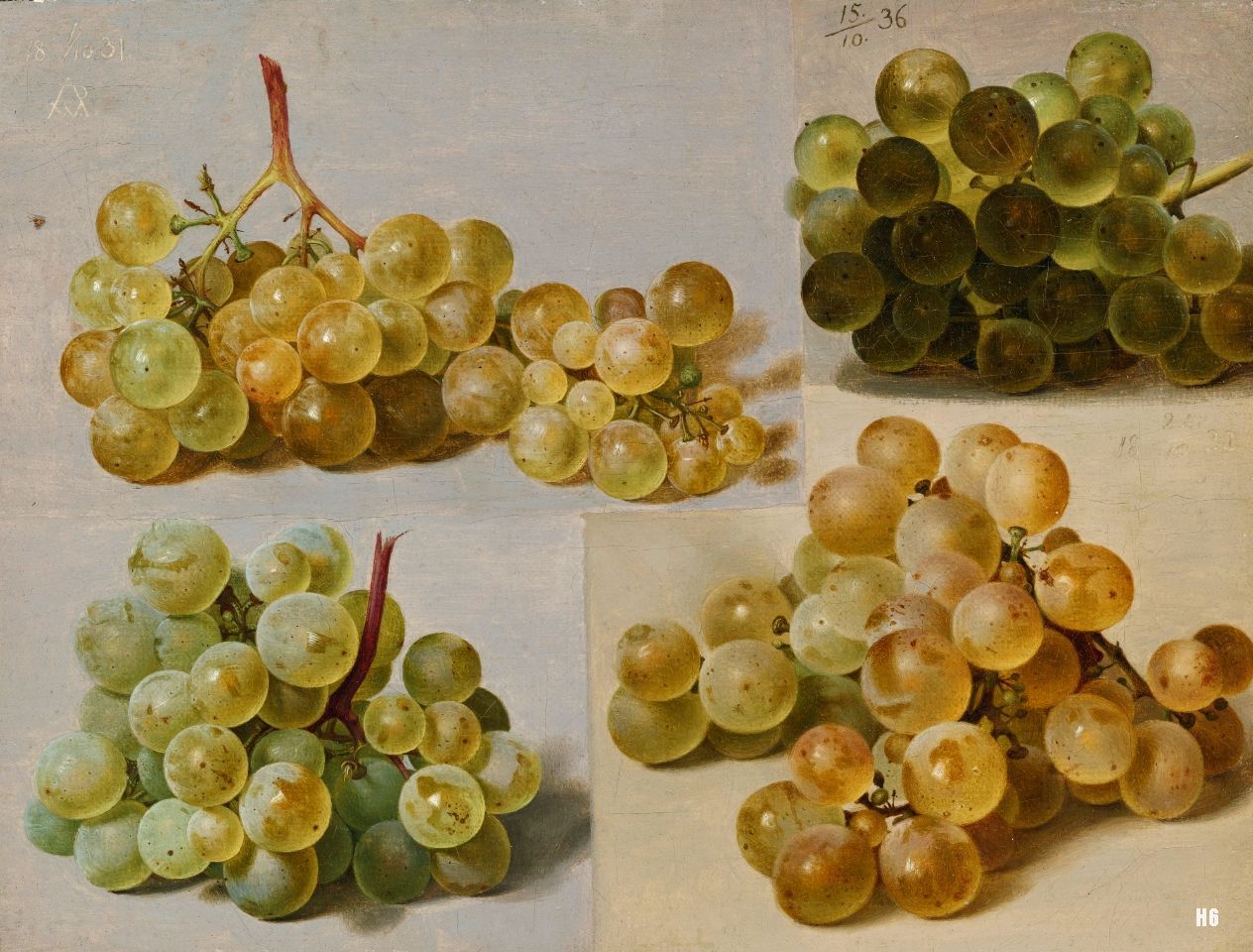 Still Life of Grapes. 19th.century. Johann Wilhelm Preyer. German. 1803-1889. oil /canvas.
http://hadrian6.tumblr.com