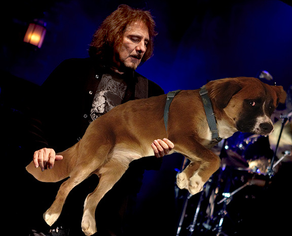 :: SUBMISSION :: GEEZER BUTLER BASS DOG (Submitted by Tim Hemendinger)