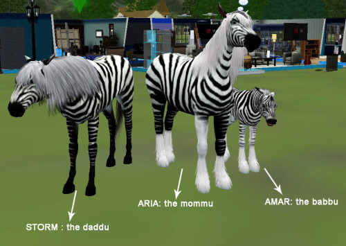 just an idea of who is who with this mutant horse zebra family i got going in the sims three - long story short, my sims 3 experience was a cluster of WHOA THAT IS BEAUTIFUL to OH WHAT THE HELL  NO NO NO NO NO!!!!!! :( from the sims family i started with and their drama and story unfolding and continuing( Ami and Eisam are great-grand parents now) to the eventual doggy named Trae being taken in (current family - with the perished great grand daughter) but there was something really screwed up with this whole thing, the same horror that unfolded with Ami and Eisam continued with their children and their children’s children. Ami died, her daughter died, her daughter’s daughter died and  all the deaths occurred AFTER the women had just become mums.