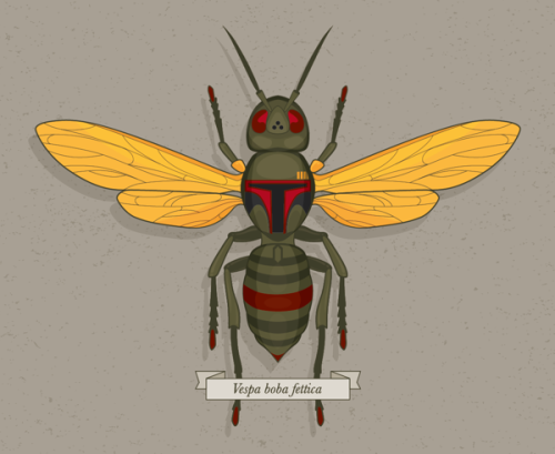 Bug Wars Created by Keith Krebbs