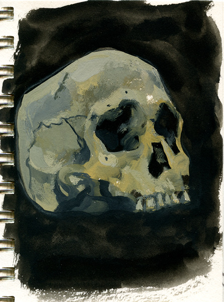 Study of a skull.
