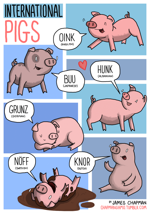 INTERNATIONAL PIGS
Be careful next time you call some hunky hunk a hunk. They might speak Albanian and think you&#8217;re calling them a pig.I&#8217;m starting to put all these animals into a comic that you can BUY.When it&#8217;s done, it&#8217;ll be available from my shop along with my lovely posters