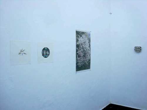 Install Shot: Spring Rape at Preteen Gallery, Mexico City 2010
Left: Dylan Reece    Center: Anne de Vries    Right: Abdul Vas