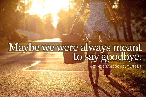 always meant to say goodbye.quote from:clarisselovesubmit your quotes ...