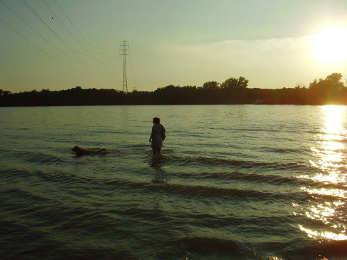 Illalla kävelytettiin Füriä Tonavan rannassa ja uitettiin se joessa.