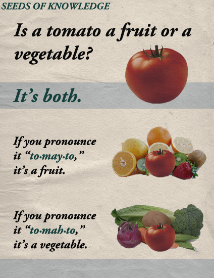 Is A Tomato A Fruit Or A Vegetable?